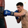 купить боксерские перчатки Everlast 6 унций (6 oz) синий