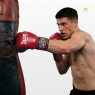 купить боксерские перчатки Everlast 6 унций (6 oz) красный