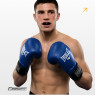 цена на боксерские перчатки Everlast 8 унций (8 oz) синий