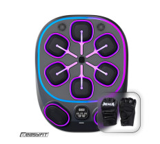 Настенный боксерский тренажер  EasyFit с апперкотами (музыкальный бокс)