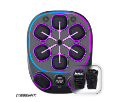 Настінний боксерський тренажер EasyFit з аперкотами (музичний бокс)