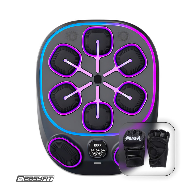 Настенный боксерский тренажер  EasyFit с апперкотами (музыкальный бокс)