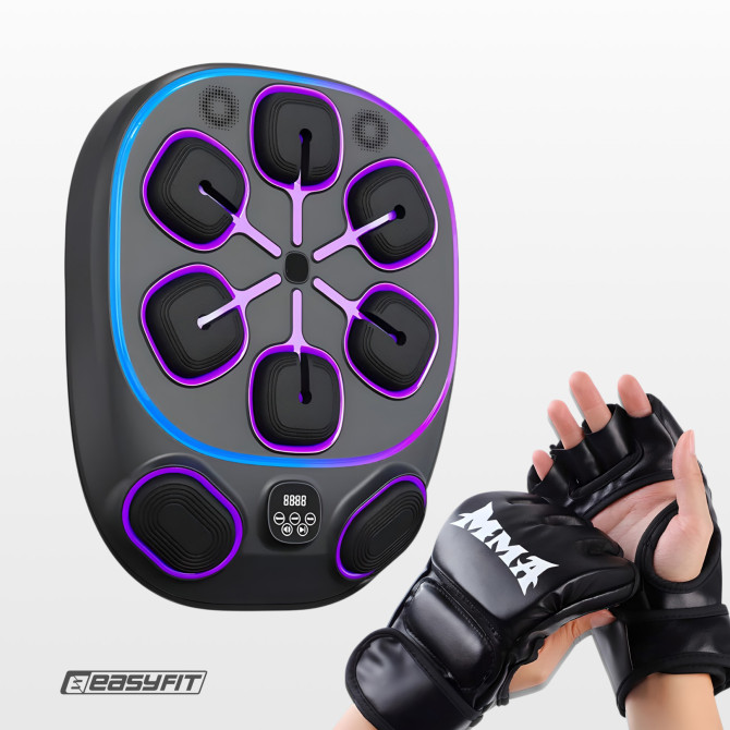 купить настенный боксерский тренажер  EasyFit с апперкотами (музыкальный бокс)