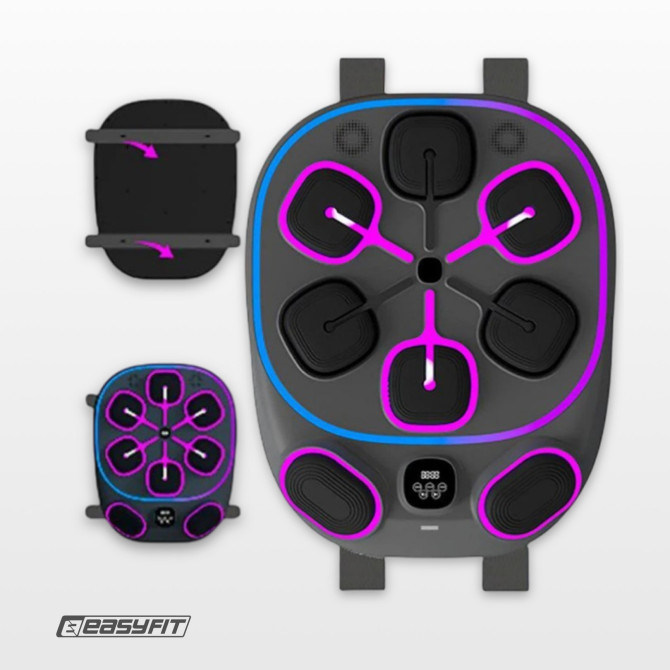 заказать оптом настенный боксерский тренажер  EasyFit с апперкотами (музыкальный бокс)