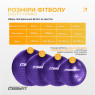 стоимость фитбол 75 см EasyFit Hybrid фиолетовый (фитбол полумассажный)