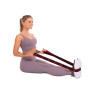 заказать эспандер ленточный EasyFit с петлями для тренировок красный (HARD)