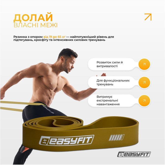 цена резиновые петли EasyFit Ranger 1 65 кг набор 5 шт