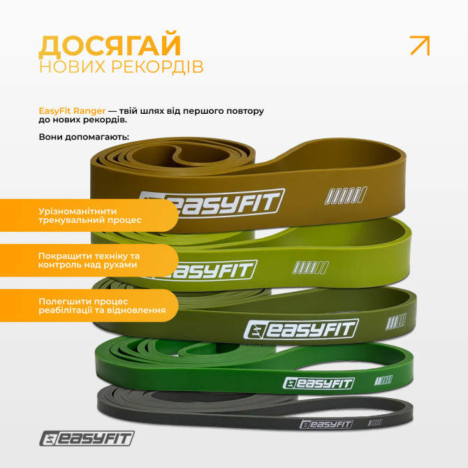цена резиновые петли EasyFit Ranger 1 65 кг набор 5 шт