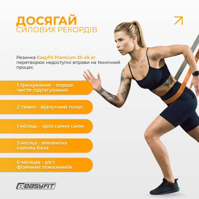 стоимость резинка для подтягиваний EasyFit Premium 25-45 кг