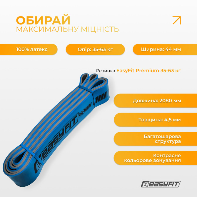 заказать резинка для подтягиваний EasyFit Premium 35-63 кг