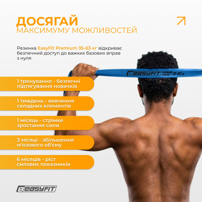 стоимость резинка для подтягиваний EasyFit Premium 35-63 кг