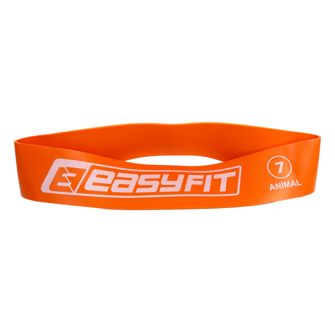 заказать резинка для фитнеса EasyFit №7