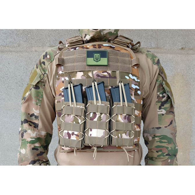 Плитоноска Pantsyr-2 (тактический военный жилет, бронежилет MOLLE) Multicam Arid
