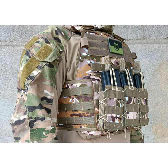 Плитоноска Pantsyr-2 (тактический военный жилет, бронежилет MOLLE) Multicam Arid