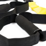 Петли TRX PRO Pack-2 (P2)